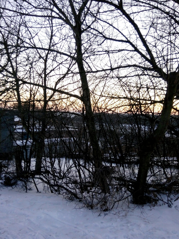 evening