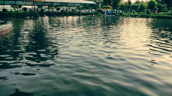 the water