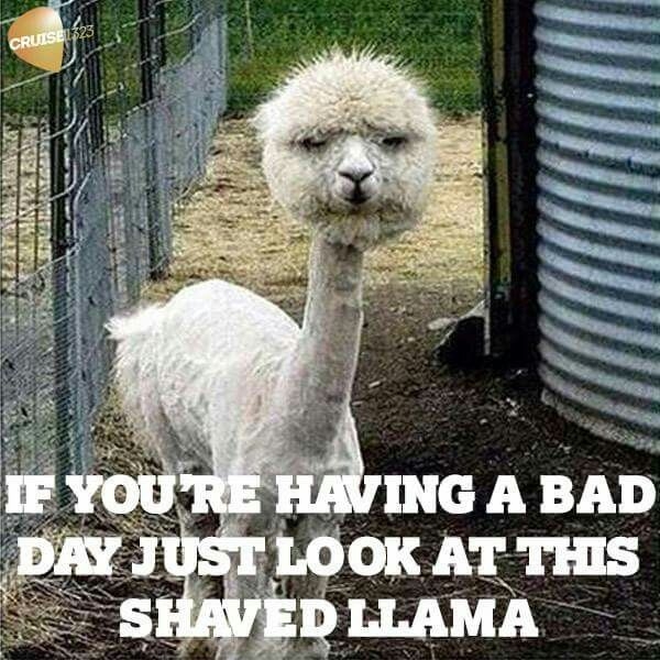 funny