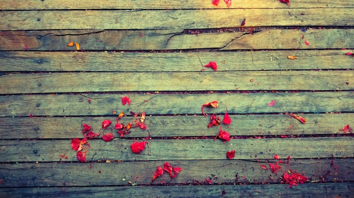 Flores!!