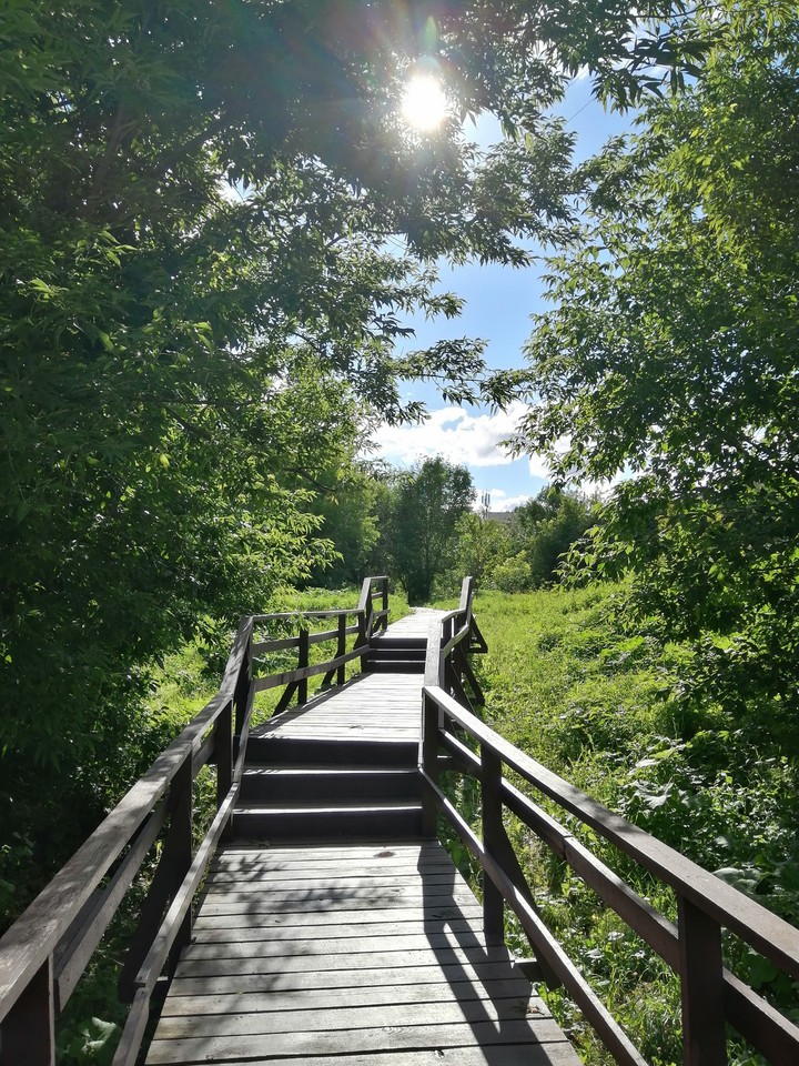 forest road