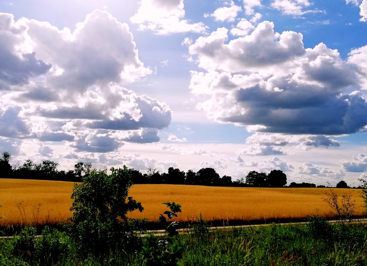 Beautifull sky