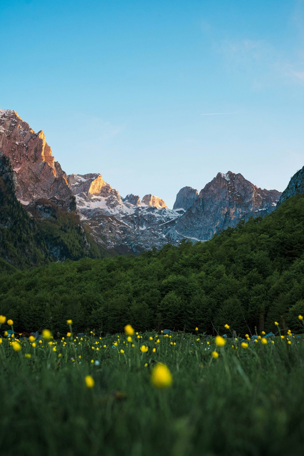 sfondi Wilderness, highland