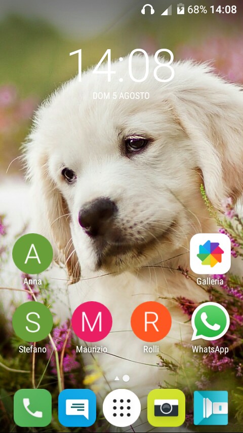 i love dog