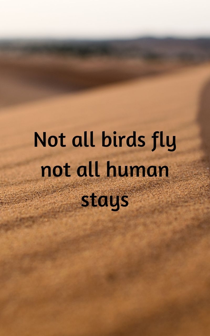 No one stays