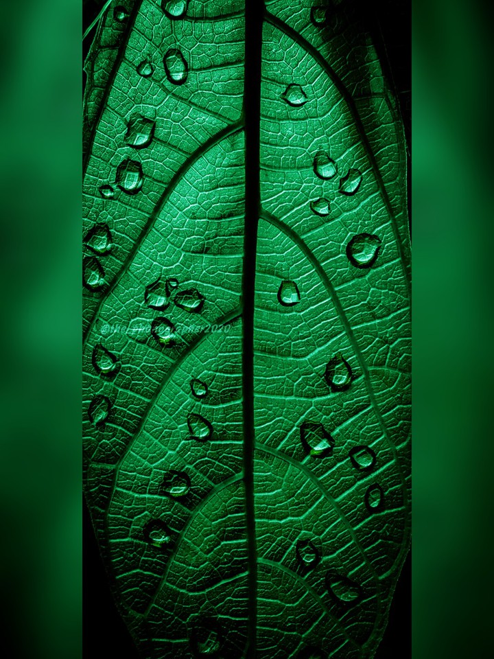 drops