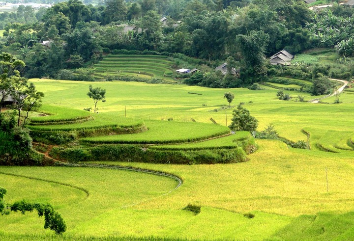 ị