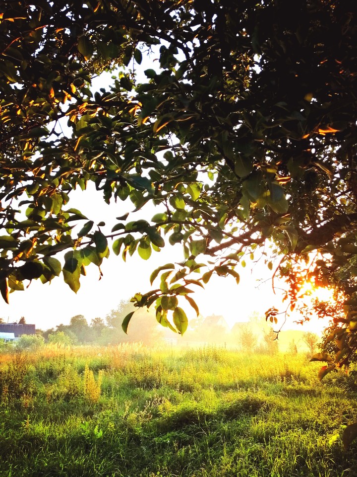 Countryside