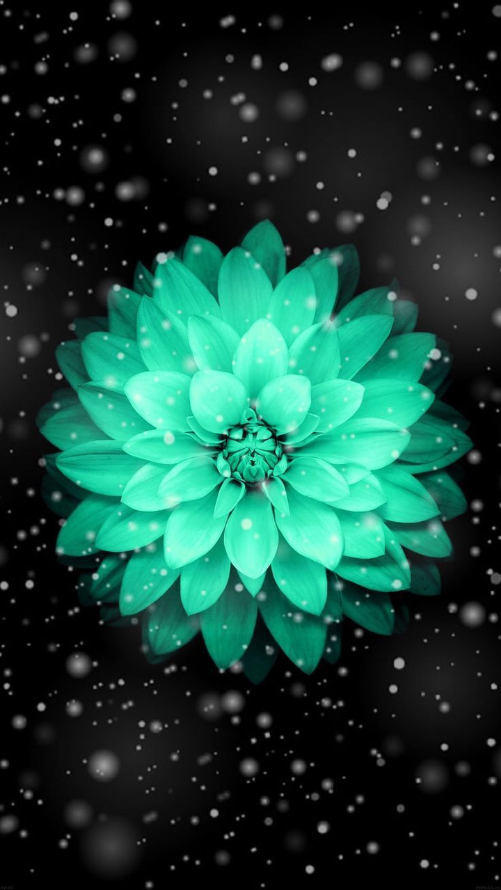 flower..