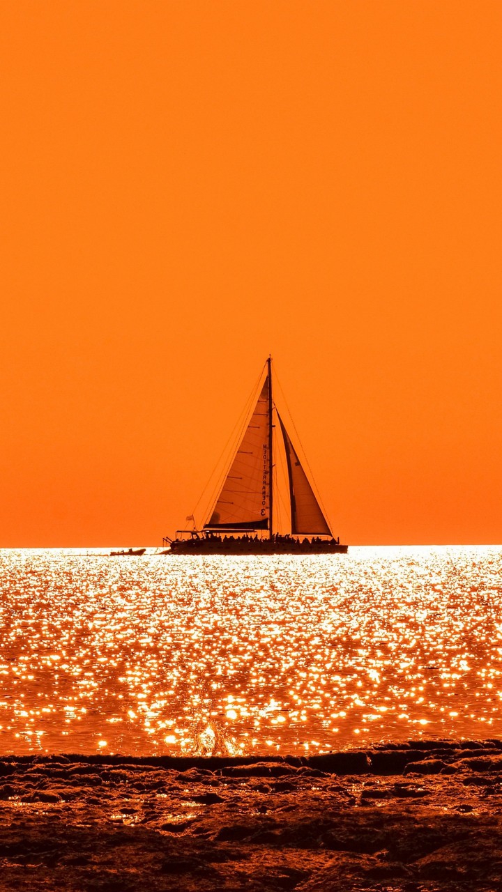 배 boat