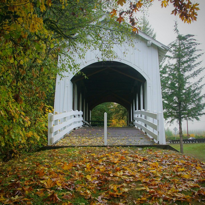 found a bridge