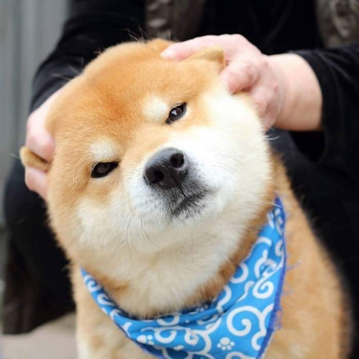 cute