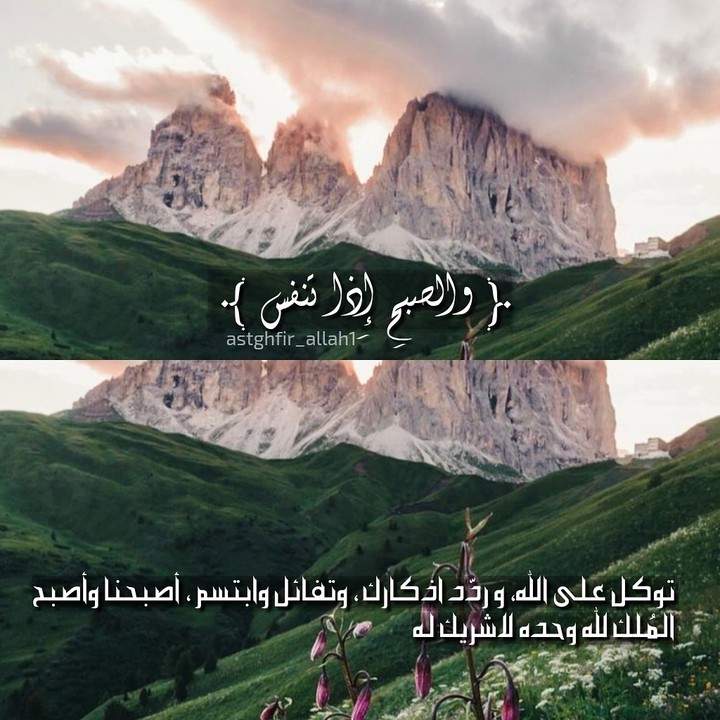 ياارب