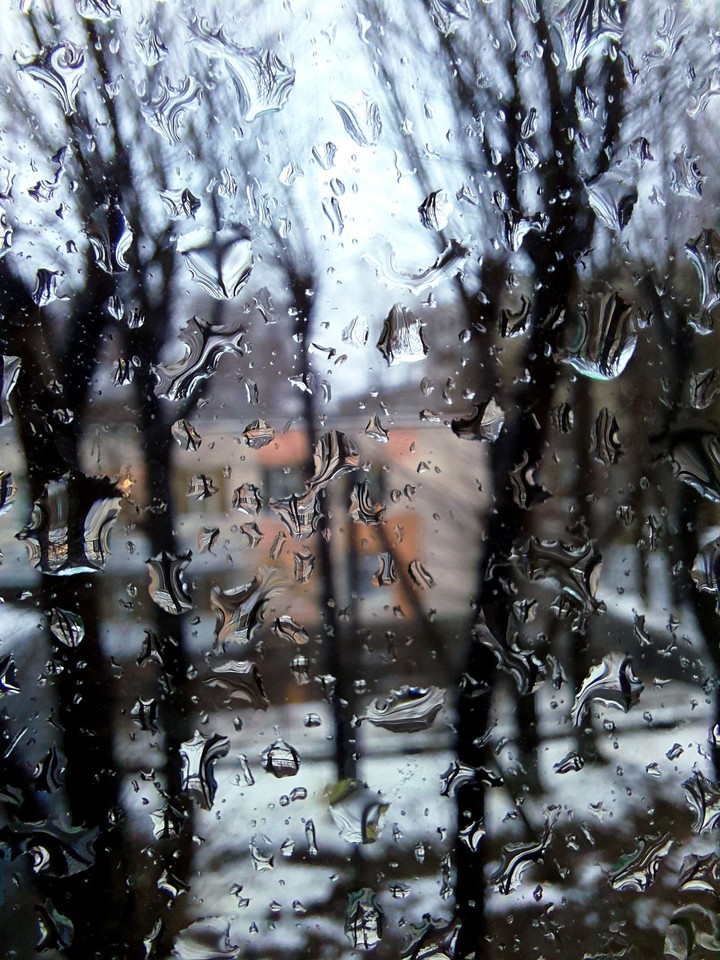 rain in November