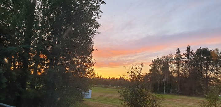 evning