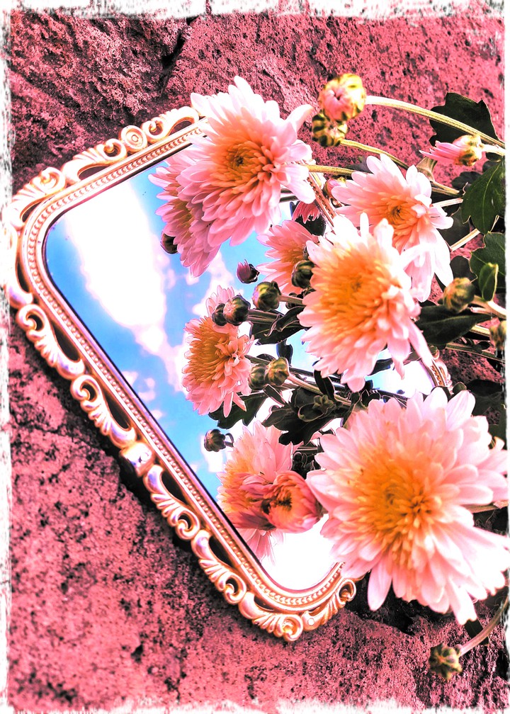 Mirror of Flowers