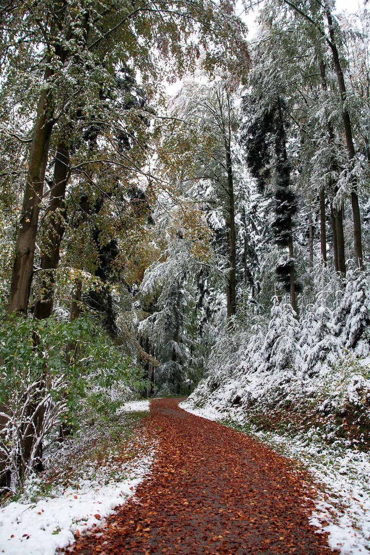 Winter
