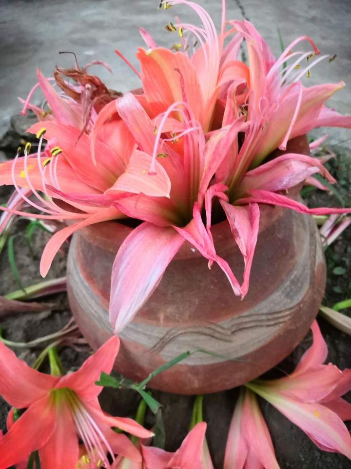 vintage flower vase