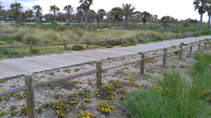 paseo junto a la playa