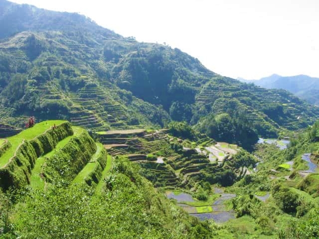 Rice terraces
