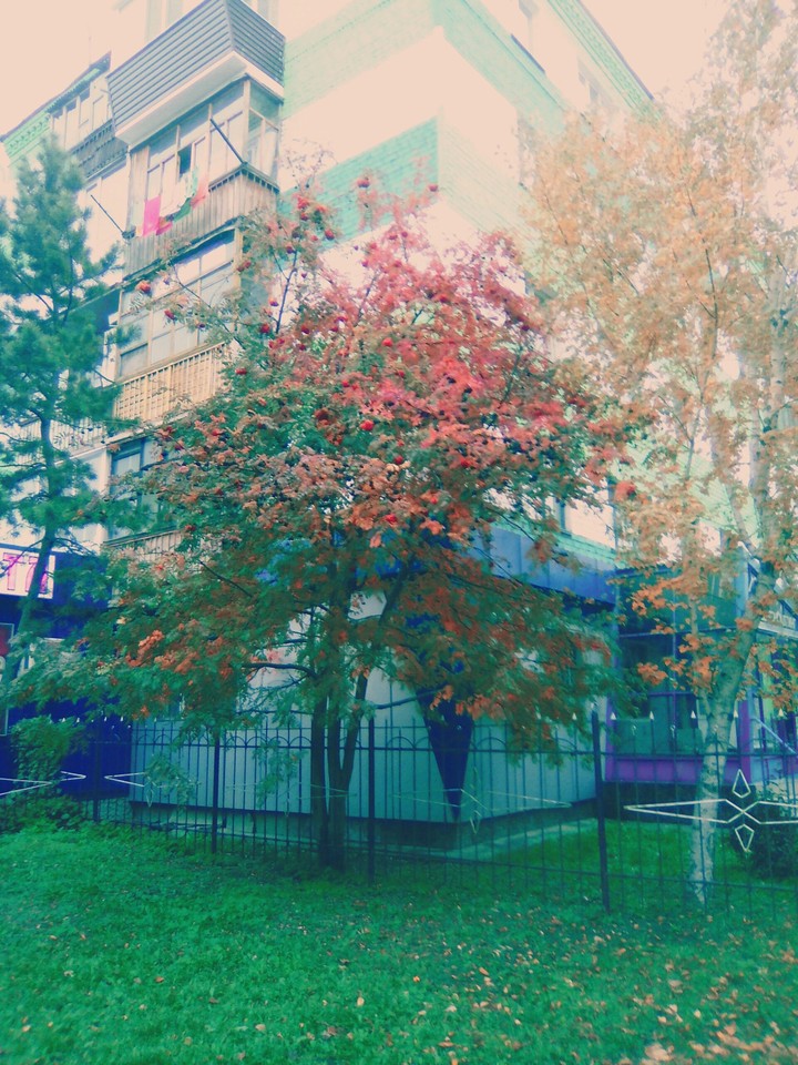 autumn