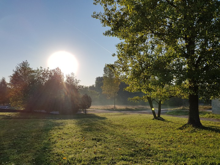 morning