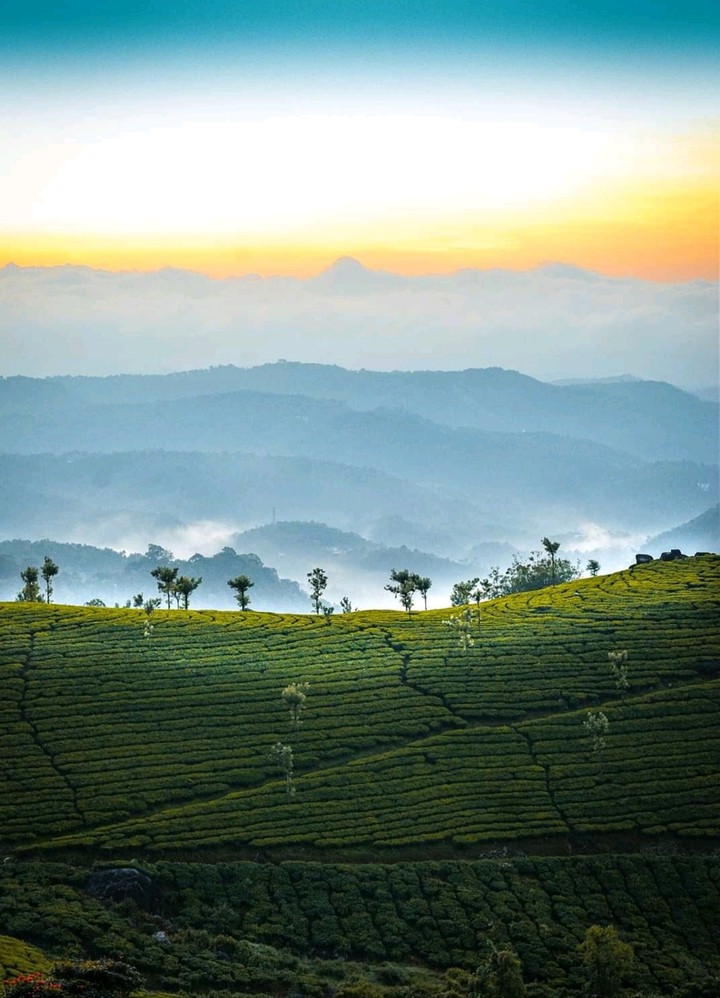 beautiful munnar