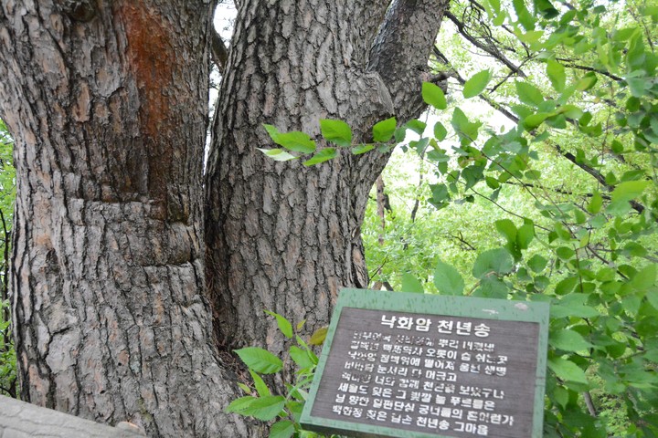 풍경이미지