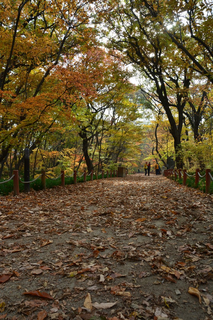 함양이미지