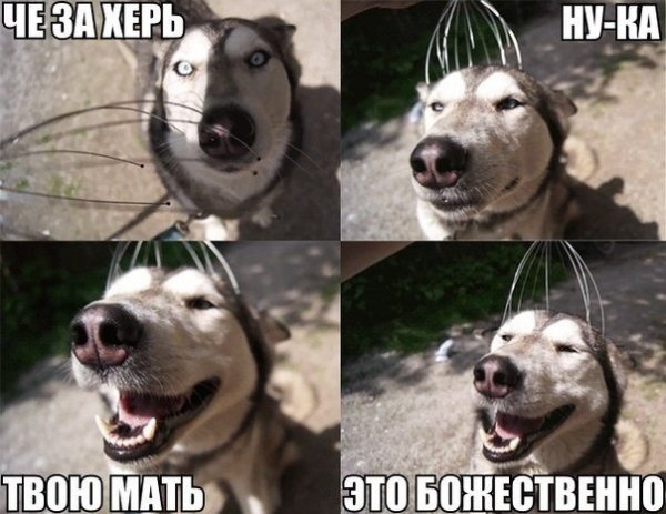 кайф