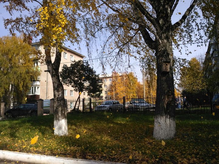 осенью