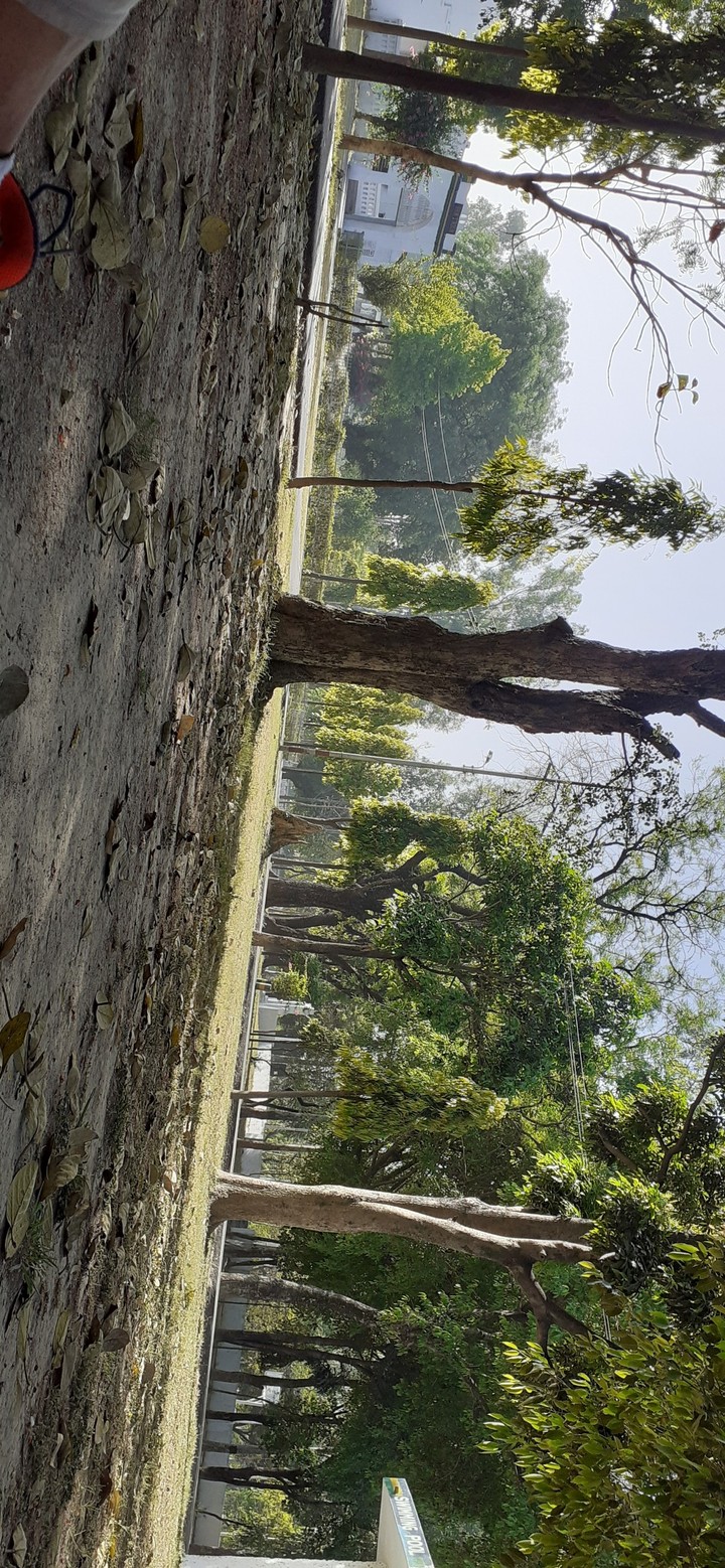 nature