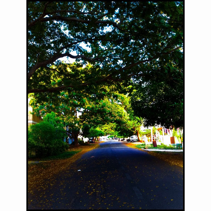 Street photography