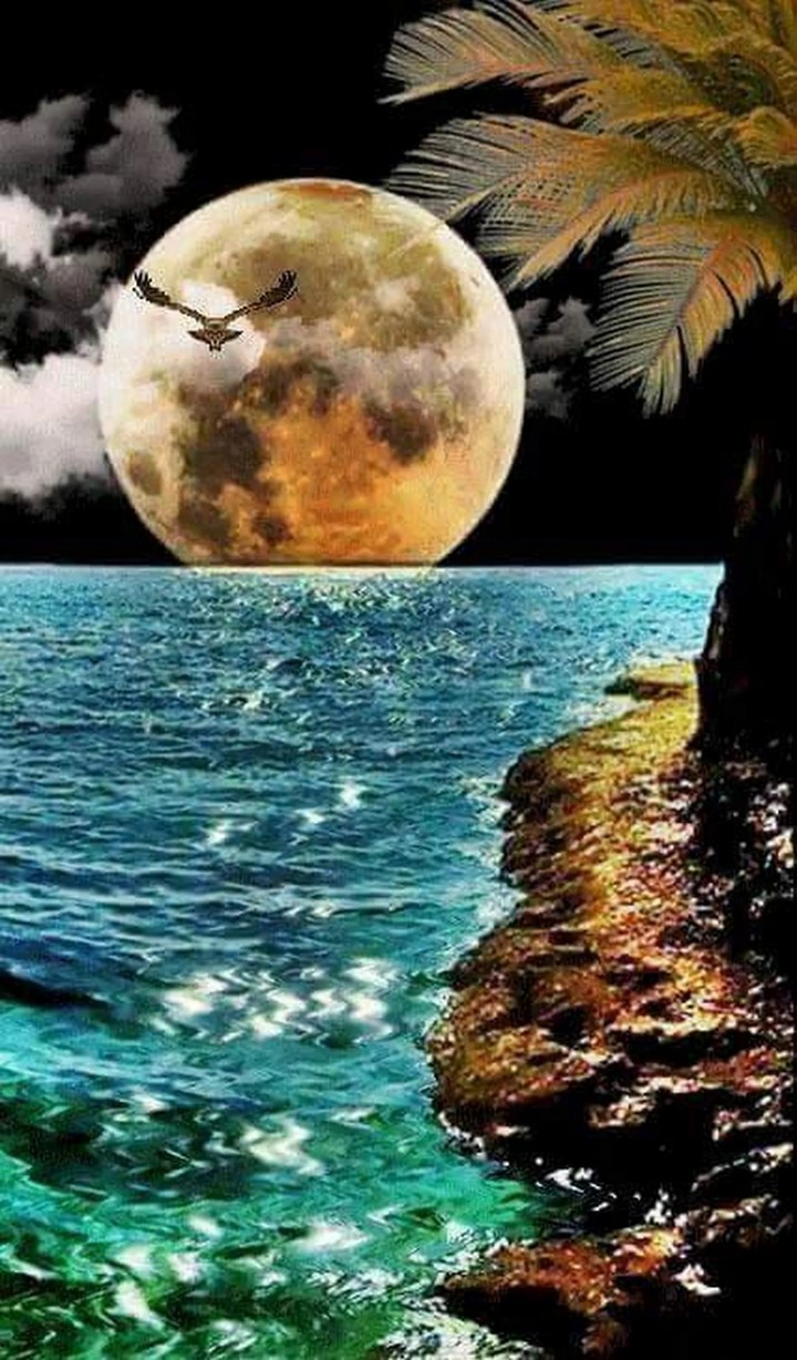 Moon