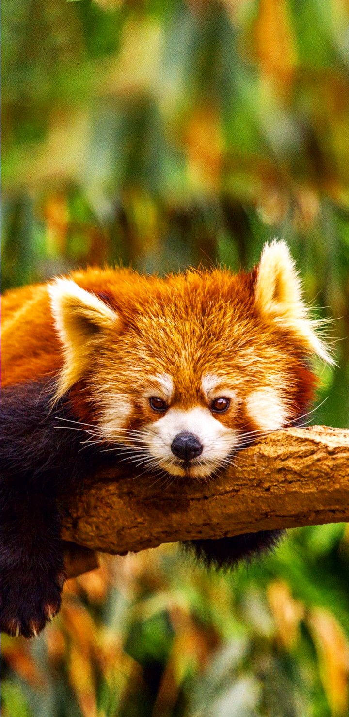 me in lazy winter days....???