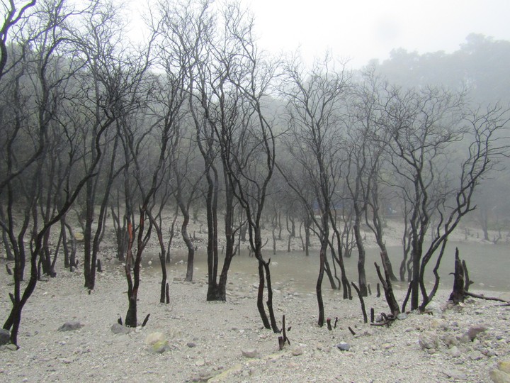 Kawah Putih