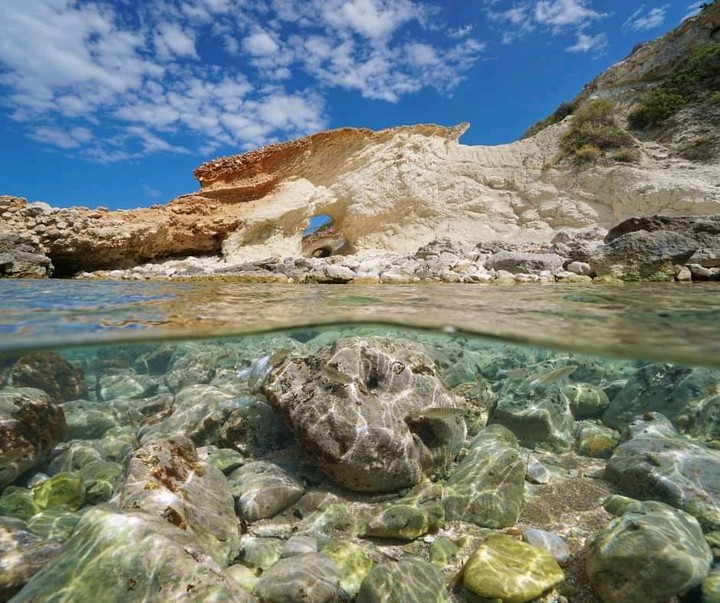 Natural environment
