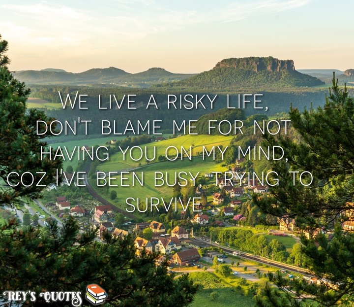 Rey's Quotes