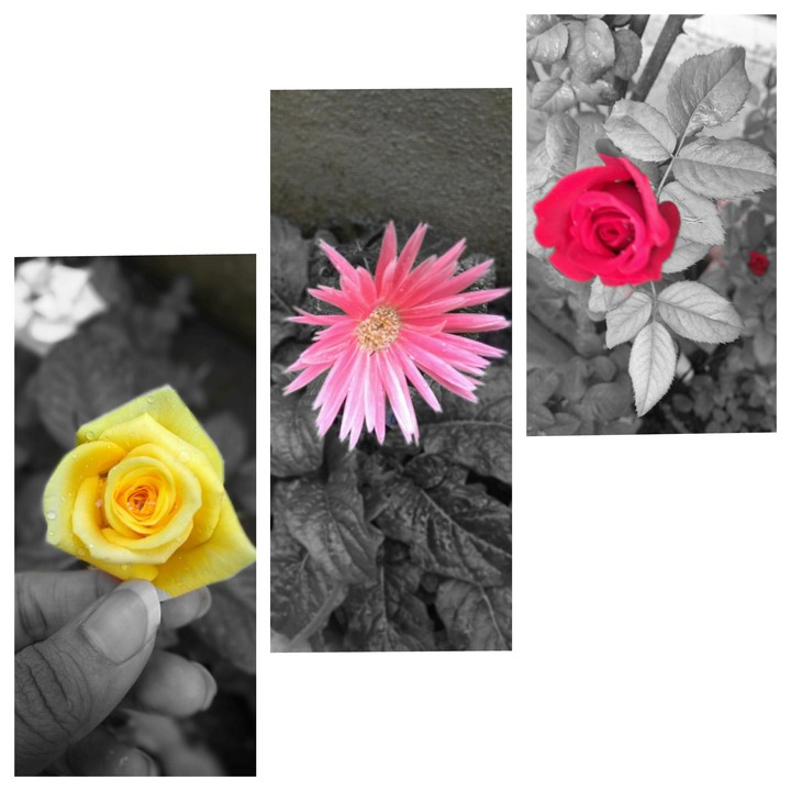 colors!