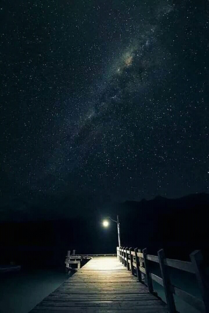 Night Seen.