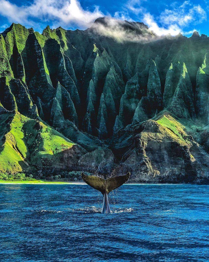 HAWAÏÏ##