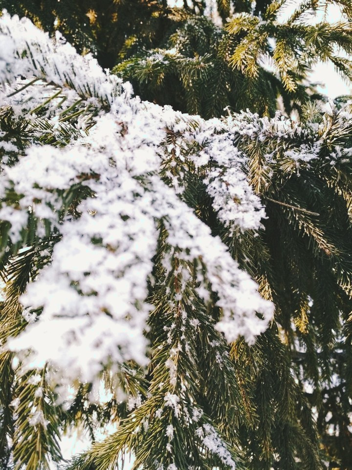 17.02.2018