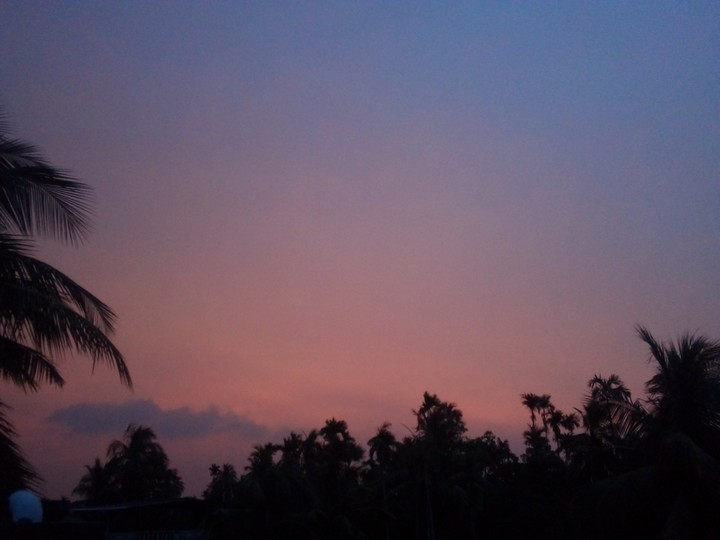 pink sky