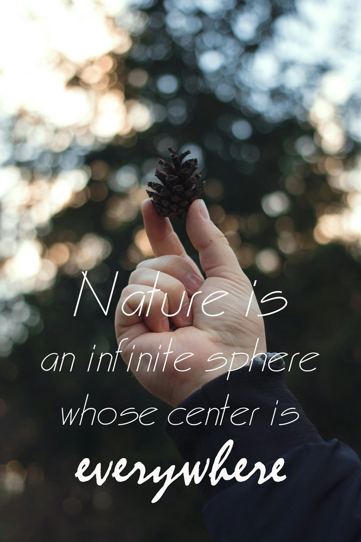 nature