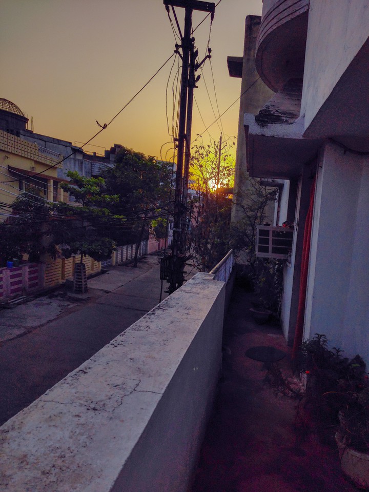 Morning Bliss