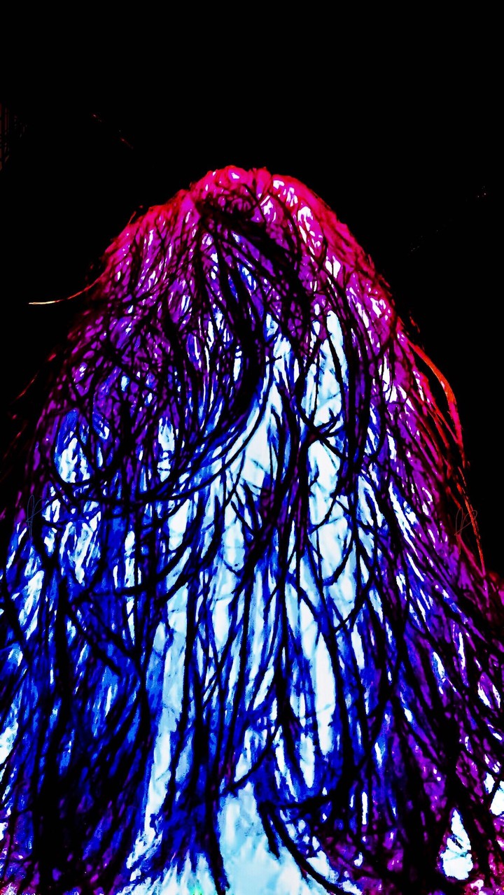 Fantasia