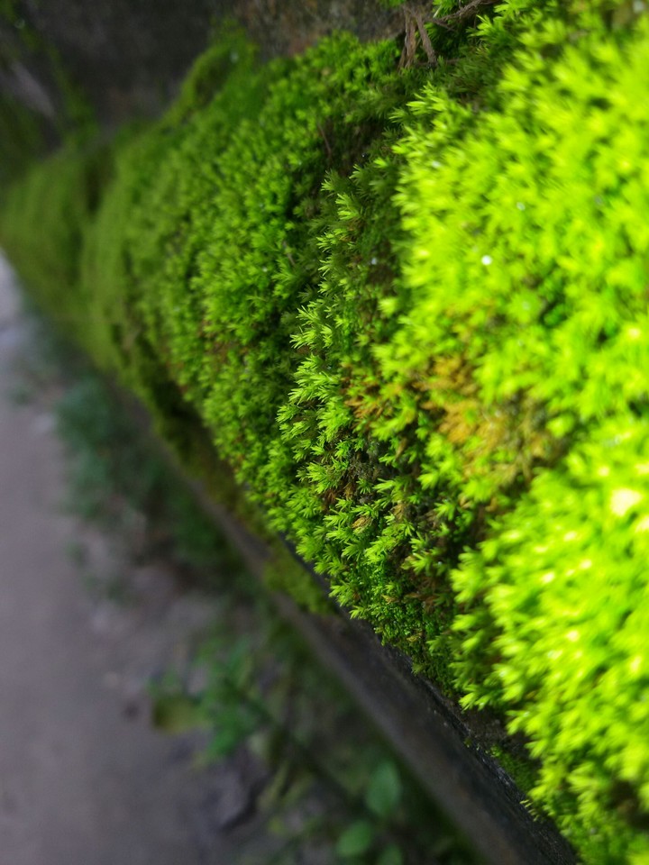 captured by Galaxy grand 2