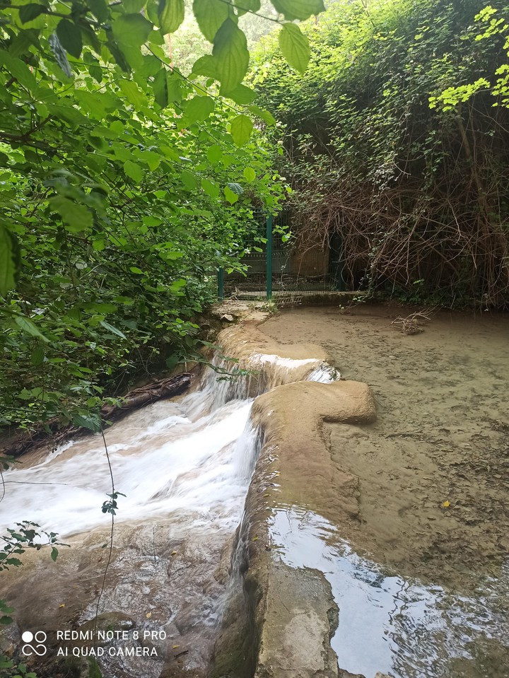 Rivière de Provence