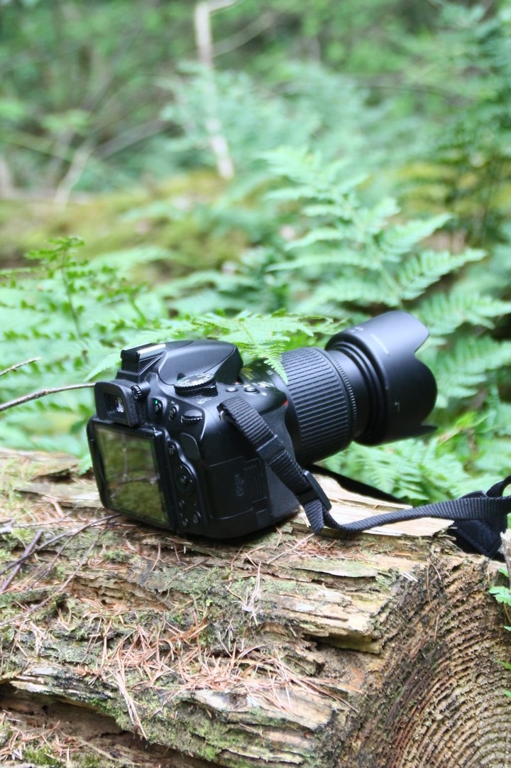 My hobby
