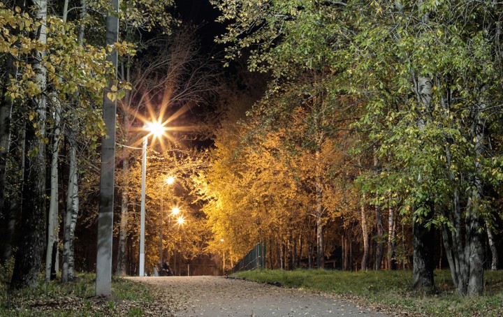 autumn